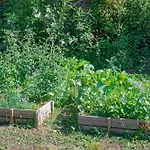 Nyaraló L'ecrin De La Garrigue Saint-Siffret