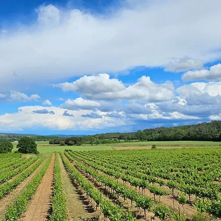 L'écrin De La Garrigue Hébergement de vacances