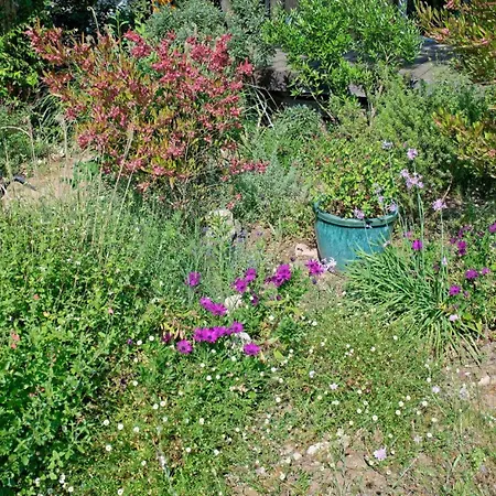 L'écrin De La Garrigue Hébergement de vacances Saint-Siffret