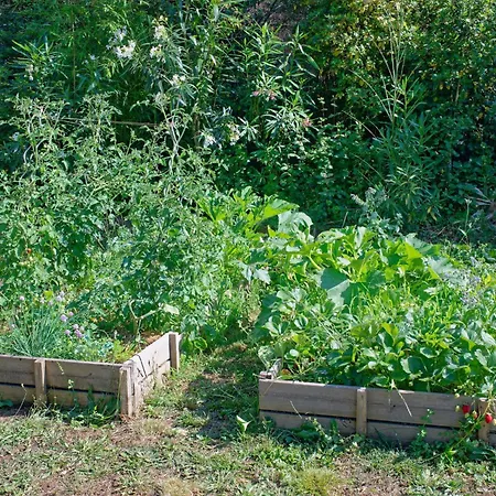 بيت للعطل L'ecrin De La Garrigue Saint-Siffret